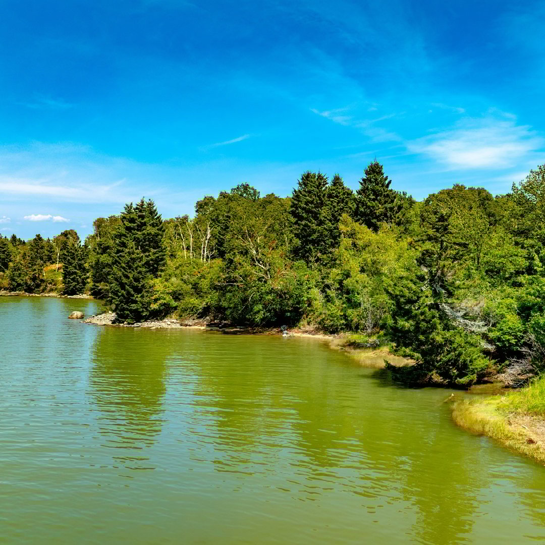 Seaberry Landing | Downeast Maine Oceanfront Land Sale, One-Day-Only, Saturday, October 25 2025 Seaberry Landing | Downeast Maine Oceanfront Land Sale, One-Day-Only, Saturday, October 25 2025