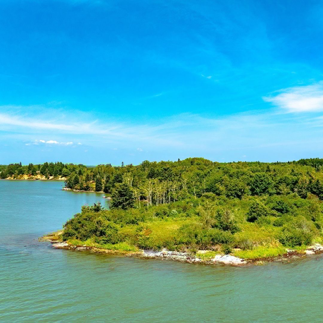 Seaberry Landing | Downeast Maine Oceanfront Land Sale, One-Day-Only, Saturday, October 25 2025 Seaberry Landing | Downeast Maine Oceanfront Land Sale, One-Day-Only, Saturday, October 25 2025