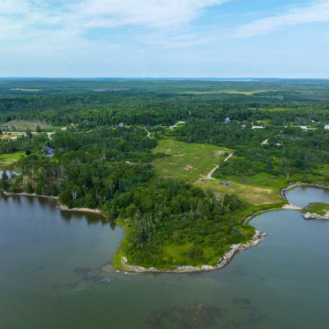 Seaberry Landing | Downeast Maine Oceanfront Land Sale, One-Day-Only, Saturday, October 25 2025 Seaberry Landing | Downeast Maine Oceanfront Land Sale, One-Day-Only, Saturday, October 25 2025